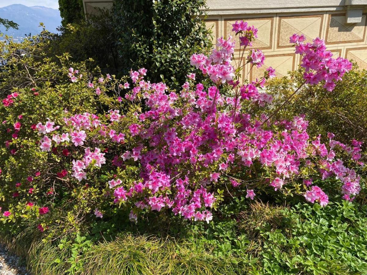 Villino Tarlarini Villa Laveno-Mombello Buitenkant foto